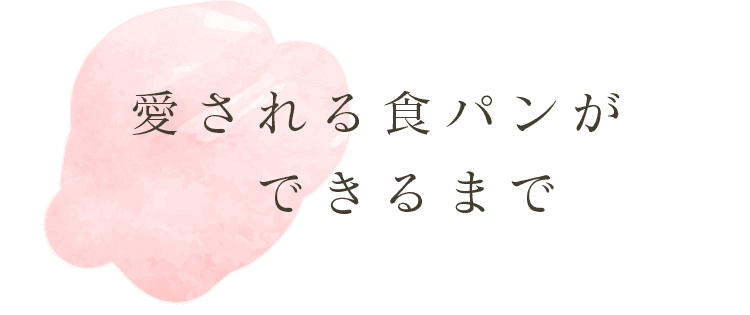 愛される食パンができるまで